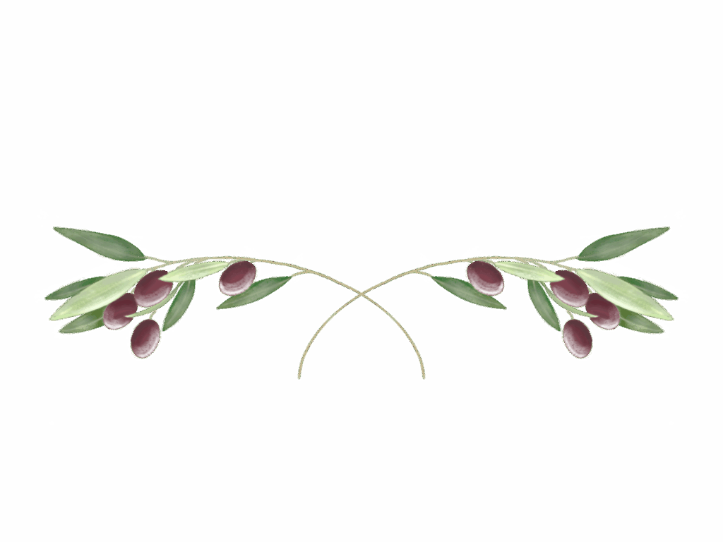 23741549.png