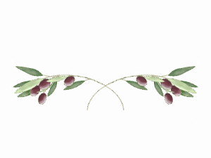 23741549.png